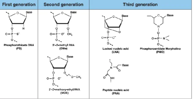 Figure 8 – Chemical modifications of antisense oligonucleotides. First generation oligonucleotides are characterized by  a  phosphorothioate  (PS)  backbone,  obtained  through  the  replacement  of  an  oxygen  atom  with  a  sulfur  atom