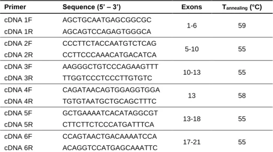Table  2  –  Sequences  and  annealing  temperatures  of  primers  used  in  the  cDNA  amplification  of  GNPTAB gene.