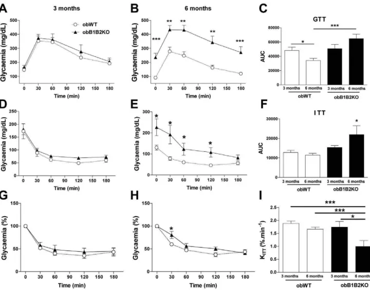 Figure 2. Six-month-old obB1B2KO mice present higher glycemia and insulin resistance when compared to obWT