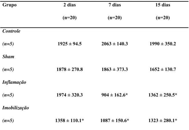 Tabela 1. Área de secção transversa das fibras (µm 2 ) no músculo sóleo nos dias 2, 7 e 15