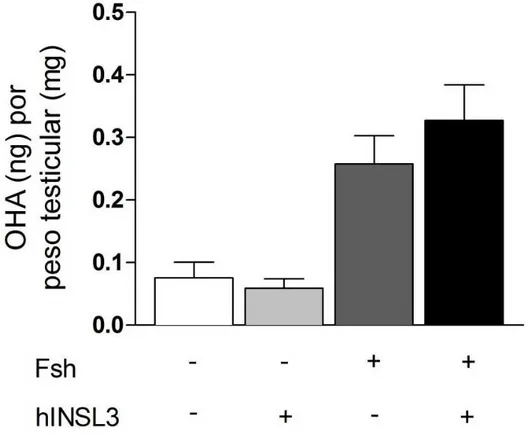 Figura 11 – Análise do efeito do hINSL3 (100ng/mL) na liberação de andrógeno in vitro,  basal ou estimulada pelo Fsh