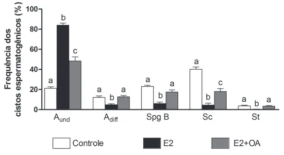 Figura  13  –  Frequência  dos  cistos  nas  três  diferentes  fases  da  espermatogênese  nos  testículos  de  zebrafish,  após  os  tratamentos  hormonais  in  vivo