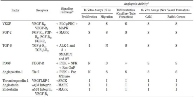 Tabela 1: Principais moduladores clássicos da angiogênese (RIBATTI et al, 2007) 