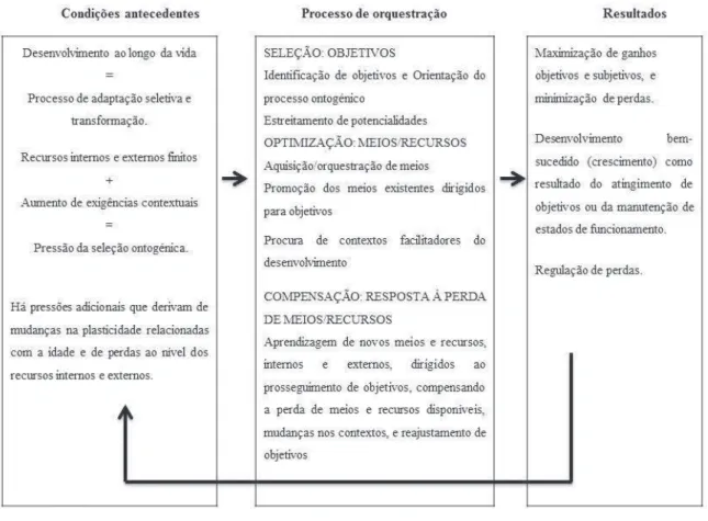 Figura 2: O modelo “Seleção – Otimização – Compensação” [Fonte: Fonseca, 2004, p. 