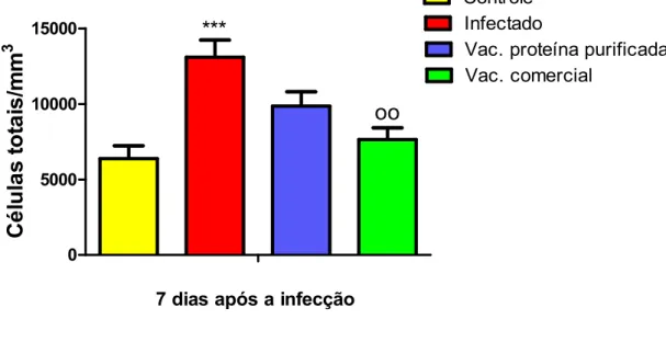 Figura  2:  Contagem  total  de  células  no  sangue  de  animais  heterogênicos,  7  dias  após  a  infecção