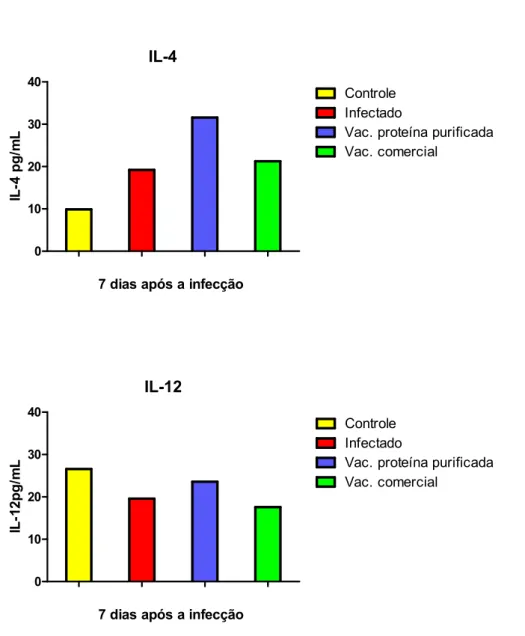Figura 8: Concentração de IL-4 e IL-12 no sangue de animais heterogênicos, 7 dias após a  infecção