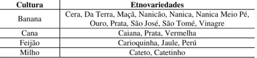 TABELA 6: Etnovariedades encontradas nas roças. Comunidade Remanescente de Quilombo da Fazenda, 2009