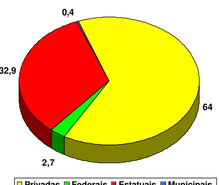 Figura 1  Participação das concessionárias de distribuição no mercado de energia  elétrica 