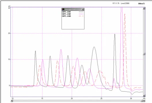 Figura 4.9 - Cromatograma dos padrões de PS utilizados na calibração do cromatógrafo. 