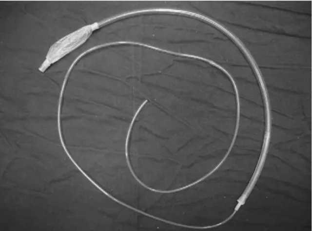 Fig. 2. In vitro system. (1) System access for inﬂation. (2) Polyethylene catheter. (3) Inﬂatable balloon representing the “bladder” of a horse.
