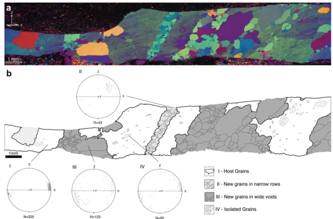 Fig. 3. Microstructures of host grains (HG) in the quartz veins. Boundaries of elongate subgrains are parallels to the c-axis of the host crystals.