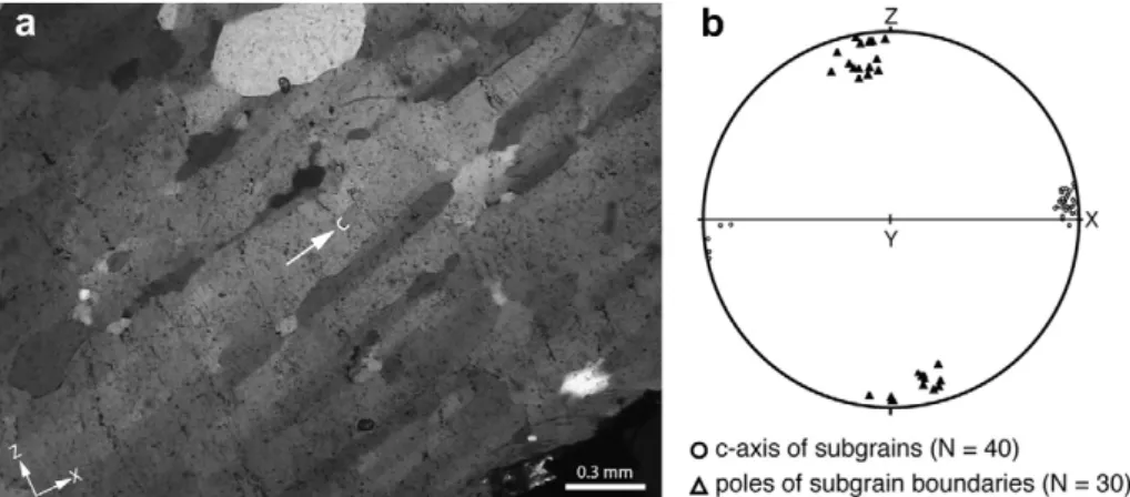 Fig. 4. Microstructures and crystallographic orientations of quartz subgrains in host crystals