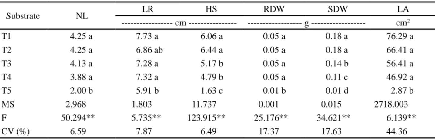 Table 4 - Number of leaves (NL), length of root (LR), height of seedling (HS), root dry weight (RDW), shoot dry weight (SDW) and leaf area (LA) of lettuce seedlings produced with different substrates