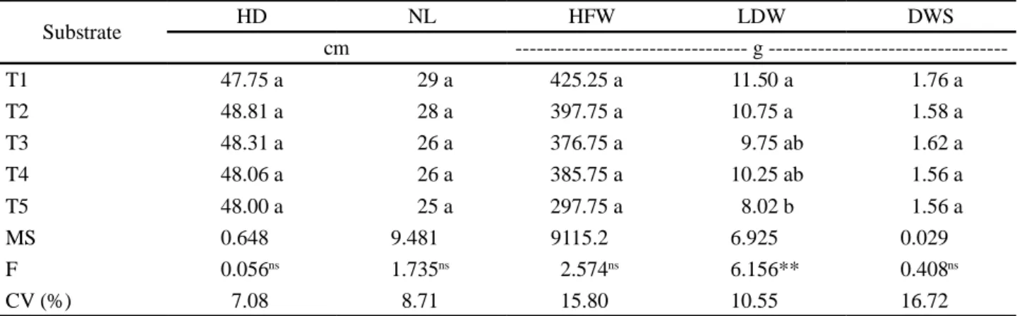 Table  5  - Head diameter (HD), number of leaves (NL), head fresh weight (HFW), leaf dry weight (LDW) and stem dry weight (DWS ) of lettuce plants grown in the field, from seedlings from different substrates