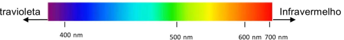 Fig 2. Espectro eletromagnético na região visível 