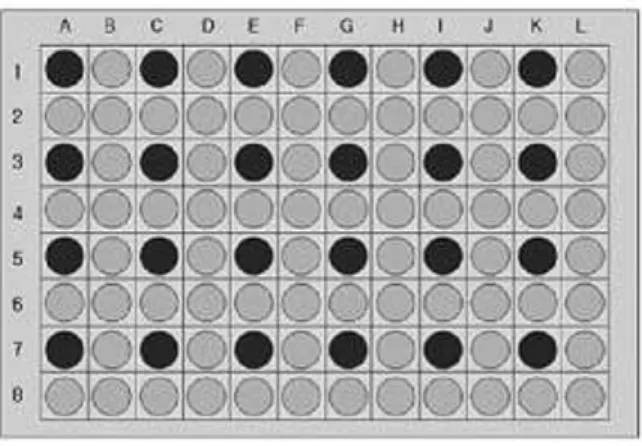 Fig 3. Distribuição dos grupos experimentais na placa de 96-poços. Coluna A (Controle  negativo); Coluna C (Luz vermelha ou branca); Coluna E (AM 3’); Coluna G (AM 5’);  Coluna I (PACT 3’); e Coluna K (PACT 5’).