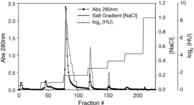 Fig. 1. Ion exchange chromatography (Hiload TM 16/10 Q-Sepharose TM coupled in FPLC system) profile of the LMA crude extract precipitated at 20–60 % ethanol  con-centration