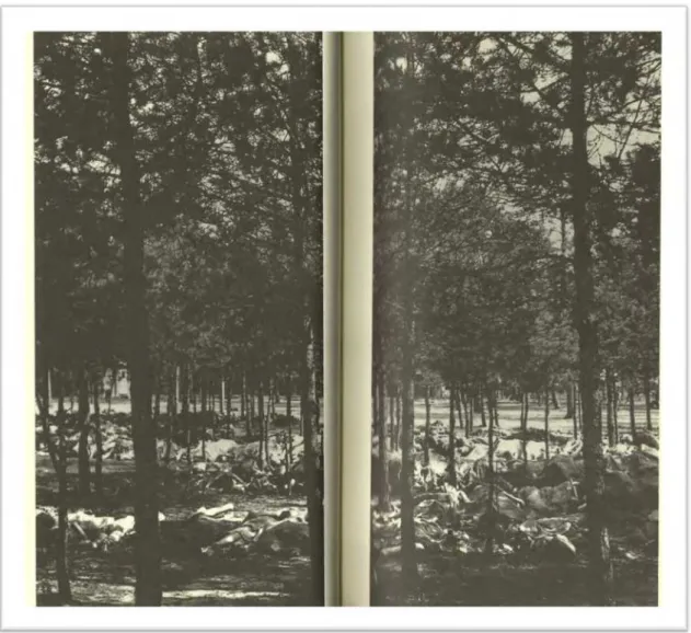 Figura 1 – Centenas de corpos deixados sob as árvores próximas ao campo de Bergen-Belsen – Foto  que ocupa as páginas 70-71 do livro Os anéis de Saturno: uma peregrinação inglesa (2010) 