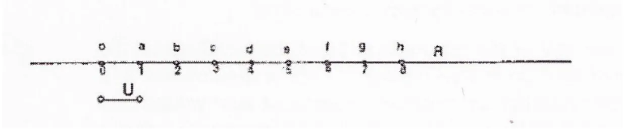 Fig.  1  -  A  reta  numérica  para  os  números  naturais.  (Tapia  et  al.  ,1974,  citado  em  Herbest,  1997)