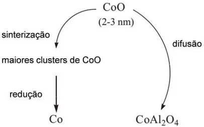 Figura  10.  Possíveis  caminhos  para  a  formação  de  cobalto  metálico  e  aluminato de cobalto a partir CoO durante a síntese Fischer-Tropsch