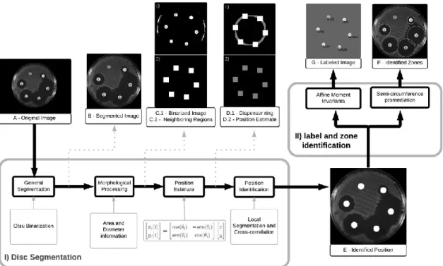 Fig.  2.  Automatic  identi ﬁ cation  algorithm  (AIA)  ﬂ uxogram.  (B)  Region  of  interest  containing only the Petri dish