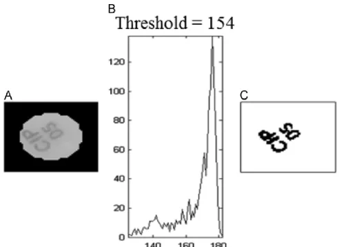 Fig. 3. Image binarization for labels identiﬁcation. (A) Grayscale image of a segmented  disc