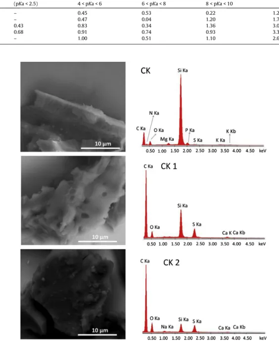 Fig. 6. SEM/EDS images of the materials CK, CK1and CK2.