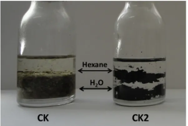 Fig. 11. Behavior of materials CK and CK2 in contact with a biphasic mixture of water and hexane.