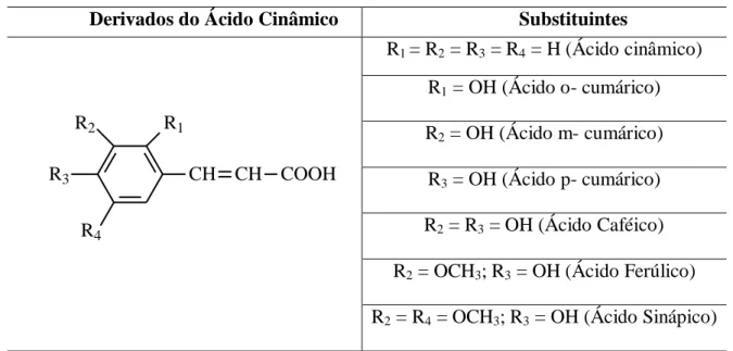 TABELA IV: Principais ácidos fenólicos derivados do ácido cinâmico 