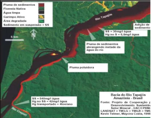 Figura 6 – Contaminação mercurial ao longo do rio Tapajós,                                    Fonte: TELMER et al, (1998)