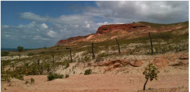 Figura  5  - Aspecto  dos  arenitos  e  argilitos  do  Grupo  Barreiras  no  litoral  do  Rio                                                             Grande do Norte (Ponta do Mel, município de Areia Branca, RN)