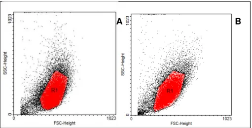 Figura 4. 6: Gráfico de tamanho versus granulosidade. R1 é a população escolhida para  análise dos marcadores nas culturas em meio (A) DMEM e (B) LEI