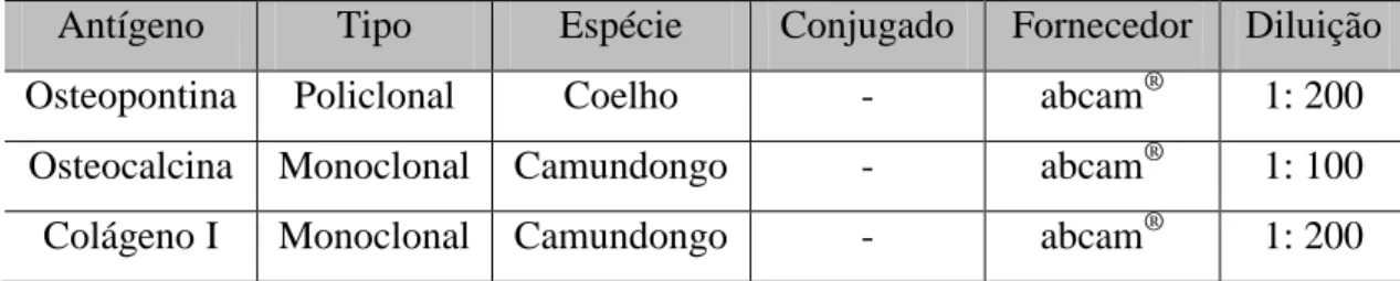 Tabela  4.  2:  Anticorpos  primários  utilizados  na  marcação  das  células  para  imunofluorescência