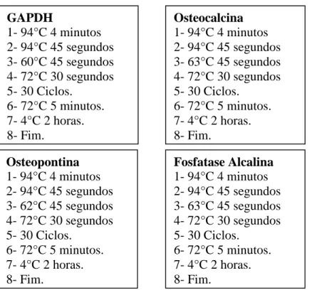 Tabela 4. 4: Genes e sequências de nucleotídeos dos iniciadores para PCR. 