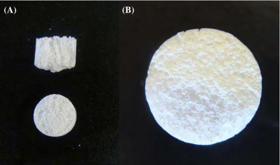 Figura 5. 1: Imagem da espuma de vidro bioativo (A) 6mm e (B) 12 mm. 