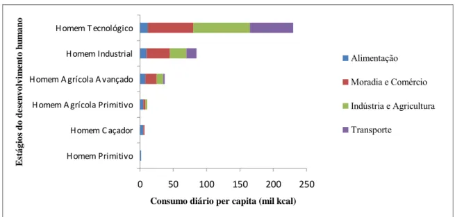 GRÁFICO 1.1 – Estágios de desenvolvimento humano e consumo de energia.  FONTE - GOLDEMBERG, 1998, p