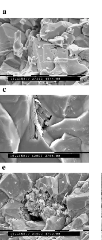 Fig. 4 – (a and b) SEM micrographs showing rounded micropores associated with an euhedral martite crystal, (d and e) SEM micrographs showing micropores in non-orientated microplaty hematite; (f) SEM micrograph showing micropores in dissolution cavity, part