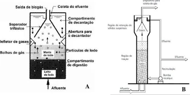 Figura  2.1:  Desenho  esquemático  de  um  reator  UASB  (A)  e  de  um  reator  de  leito  fluidizado  (B).