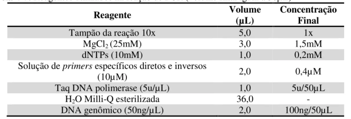 Tabela 4-7: Reagentes utilizados na reação de PCR (volume final igual a 50µL) 