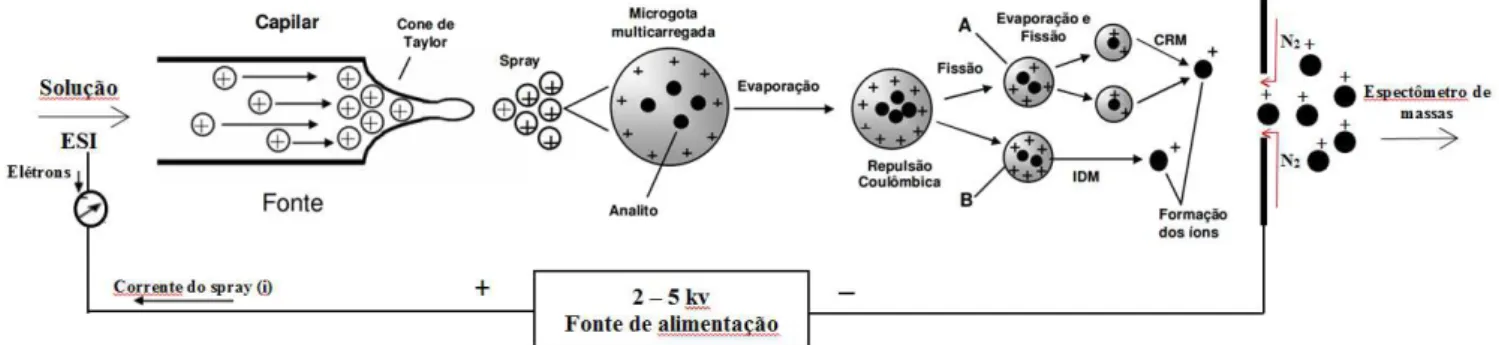 Figura 3: Modelos que  explicam o processo de  ionização por  electrospray: (A) modelo do  resíduo carregado, e (B) modelo de dessorção de íons