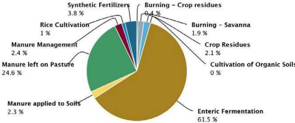 Gráfico 04: Principais causadores de gases de efeito estufa  Fonte: FAO Stat, 2014. 