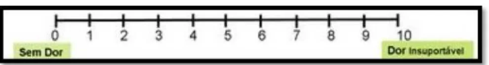 FIGURA 2 - Escala numérica visual  