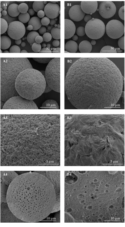 Figure  3  -  SEM  micrographs  of  PHBV  MPs  obtained  under  different  experimental  conditions:  (A)  using  100%  chloroform;  and  (B)  a  mixture  of  90%  chloroform:  10%  ethanol