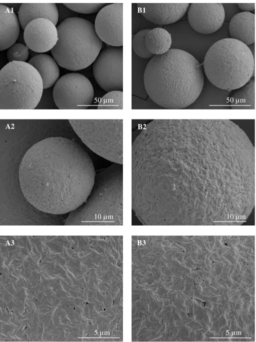 Figure  4  -  SEM  micrographs  of  BSA  loaded-PHBV  MPs  obtained  under  different  experimental  conditions:  (A)  using  100%  chloroform;  and  (B)  90%  chloroform:  10%  ethanol