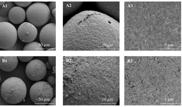 Figure  9  -  SEM  micrographs  of  BSA-loaded  PHBV  MPs  obtained  under  different  experimental  conditions: (A) using 100 % chloroform; and (B) with 90% chloroform: 10% ethanol, after 21 days of  in  vitro  release  studies