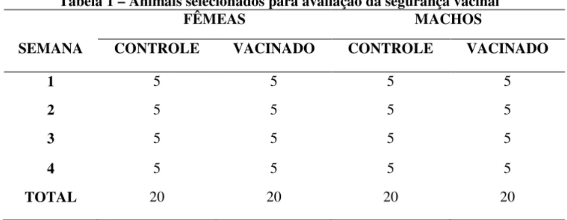 Tabela 1 – Animais selecionados para avaliação da segurança vacinal 