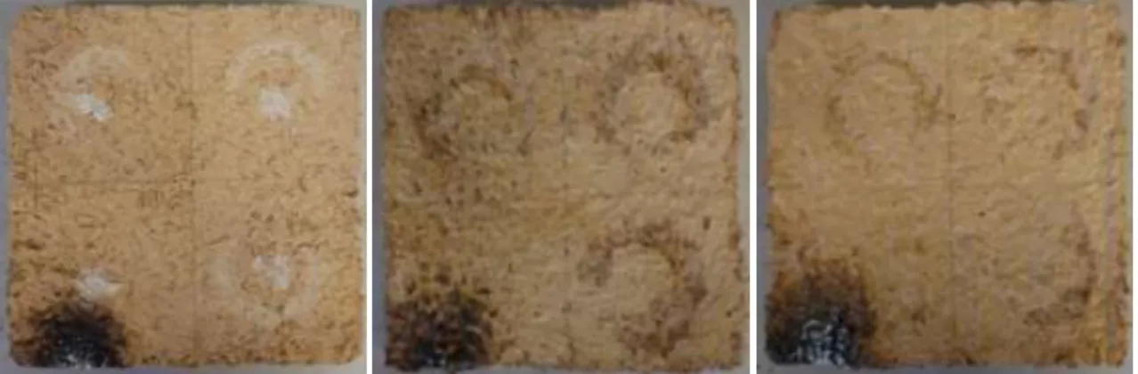Figure 10 presents the degradation of the composites after the fire test. The results show that, as expected,  the composite with 30 % rice husk content have a largest area affected by the fire in comparison with the 15 