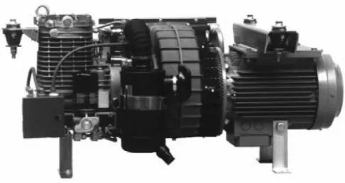Figura 15 - Compressor de parafuso (manual do fabricante). 