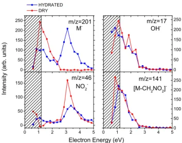 Figure 2. Ion yields for the formation of selected anions from misonidazole as a function of the energy of the incident electron