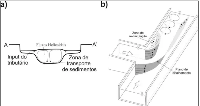 Figura 3-7 - (A) Duas células helicoidais descritas por Mosley (1976). (B) Uma célula no sentido horário a  jusante da zona de separação descrita por Weber et al., 2001